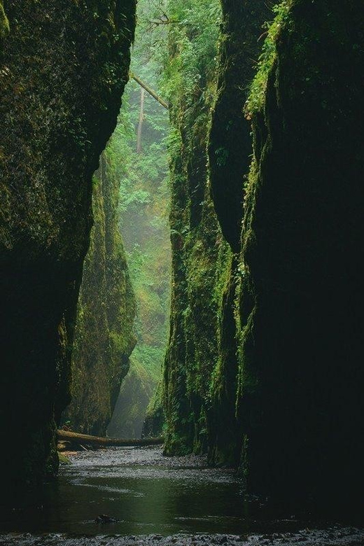 Alanya Green Canyon Boat tour with Lunch and Swimming Breaks - Price and value: is $29 a smart deal?