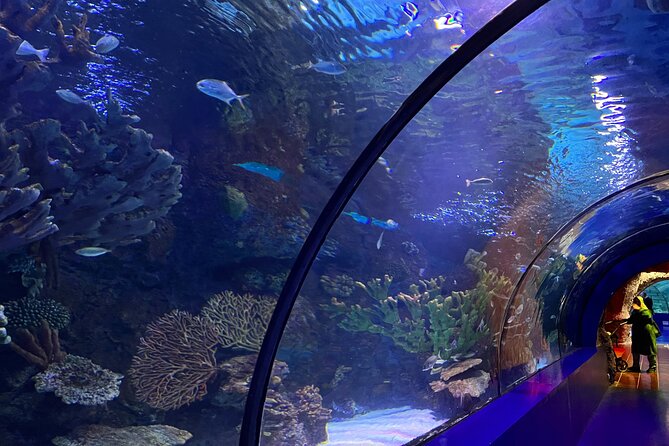 Antalya Aquarium and Face to Face Wax Museum Private Transfer - Your 2 to 3 hour window: how to pace the day