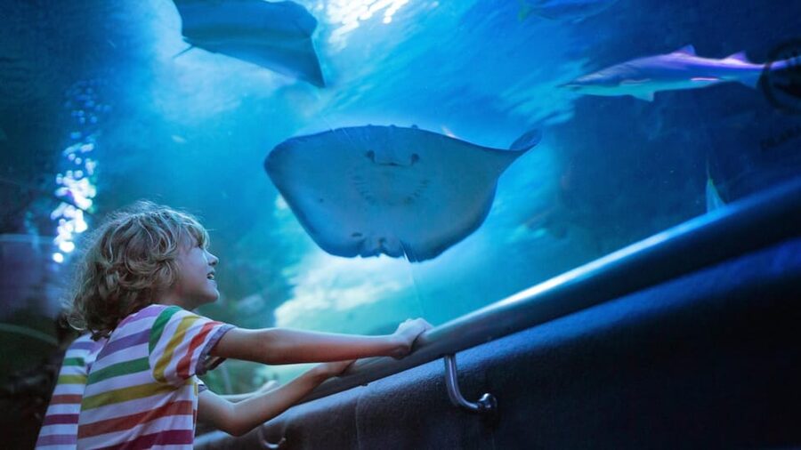 Antalya: Aquarium and Wax Museum Entry Ticket - Quick Take: What Makes This Ticket Worth Your Time