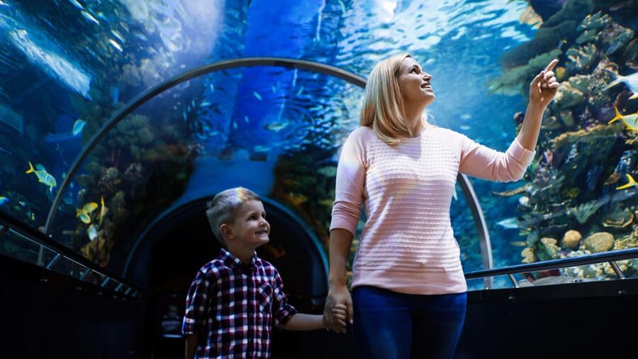 Antalya: Aquarium and Wax Museum Entry Ticket - First Stop: Entering Antalya Aquarium Without Feeling Rushed