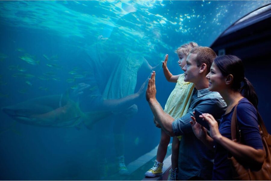 Antalya: Aquarium and Wax Museum Entry Ticket - Themed Worlds Like Atlantis: Why the Aquarium Feels More Than Zoology