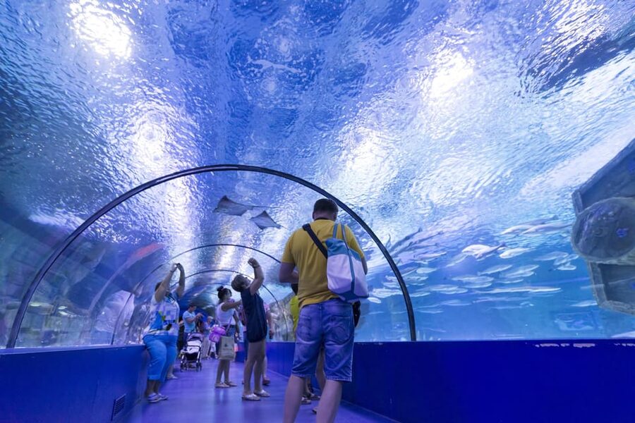 Antalya: Aquarium and Wax Museum Entry Ticket - Shipwreck to Airplane: Big Props That Make the Walk Memorable