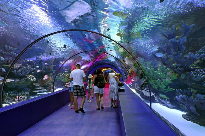 Antalya: Aquarium Ticket With Optional Transfer - A simple 3-hour family plan that does not sprawl