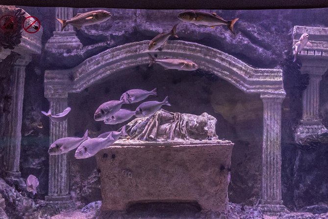 Antalya: Aquarium Ticket With Optional Transfer - Price and logistics: what $48.06 really buys you