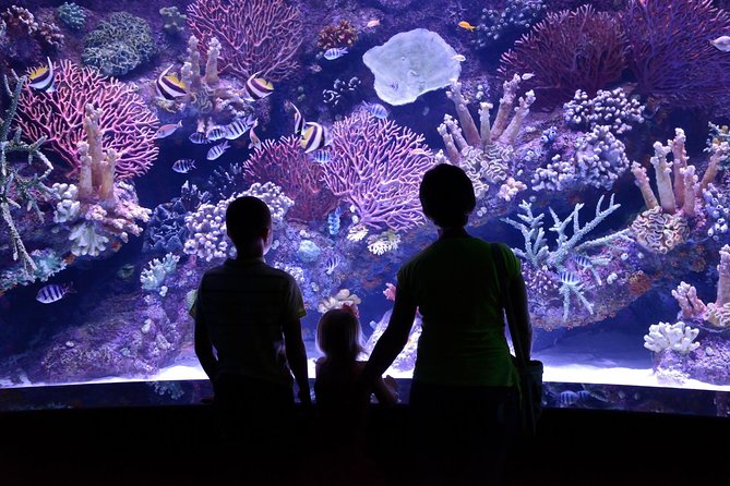 Antalya: Aquarium Ticket With Optional Transfer - Face2Face Wax Museum as the “bonus stop” you actually want