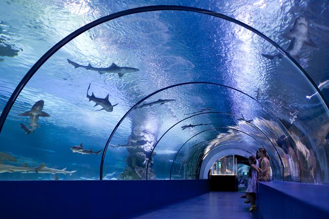 Antalya: Aquarium, Wax Museum & Combo Package Options - Timing, tickets, and the small things that make or break your day