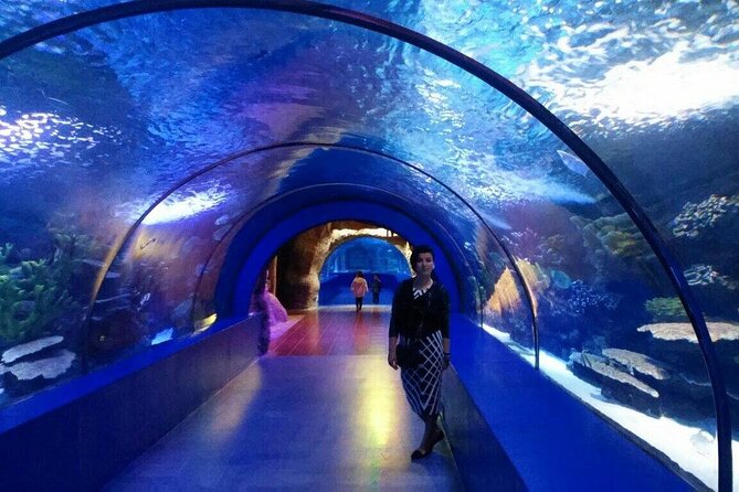 Antalya: Aquarium, Wax Museum & Combo Package Options - Who should book this combo in Antalya?