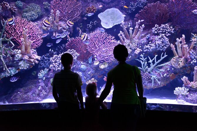 Antalya: Aquarium, Wax Museum & Combo Package Options - Optional upgrades: Snow World, Ice Museum, Tropical House, Oceanride XD Cinema