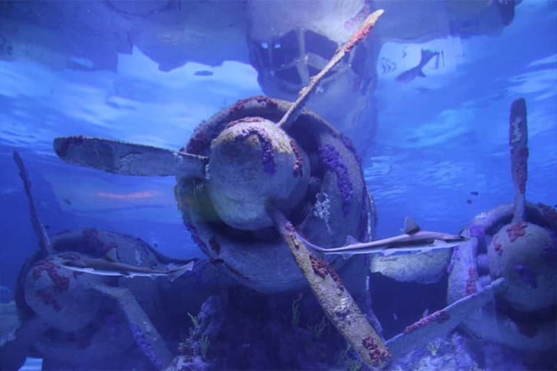 Antalya: Aquarium, Wax Museum, Snow World, Wild Park - Transportation and guides: where the service shows up