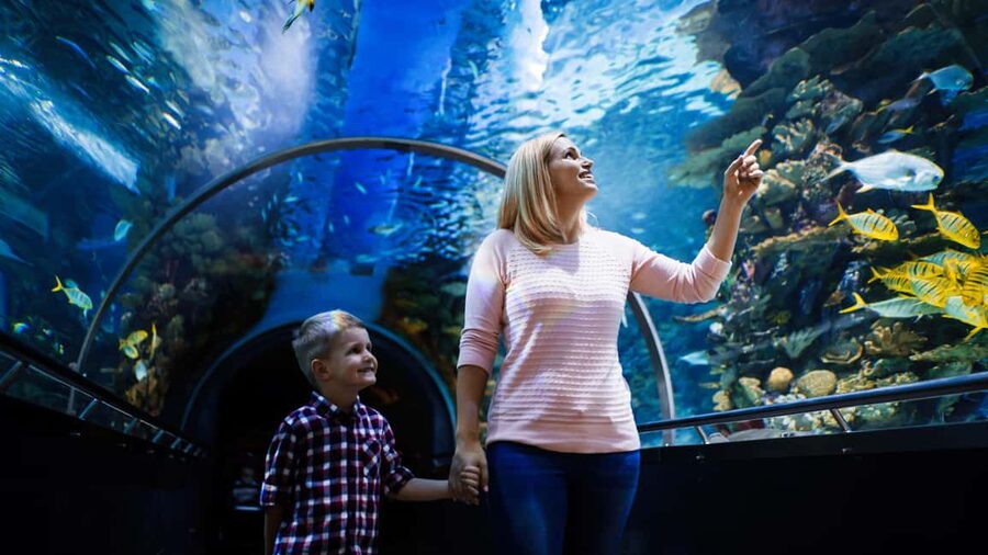 Antalya: Aquarium, Wax Museum, Snow World, Wild Park - The tunnel aquarium and the Atlantis story stop