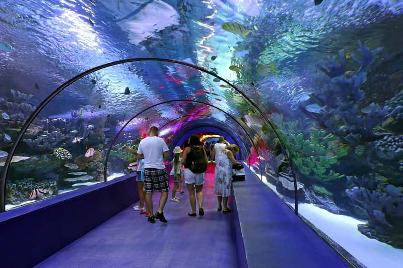 Antalya: Aquarium, Wax Museum, Snow World, Wild Park - Wild Park: reptiles and the part of the day that needs respect