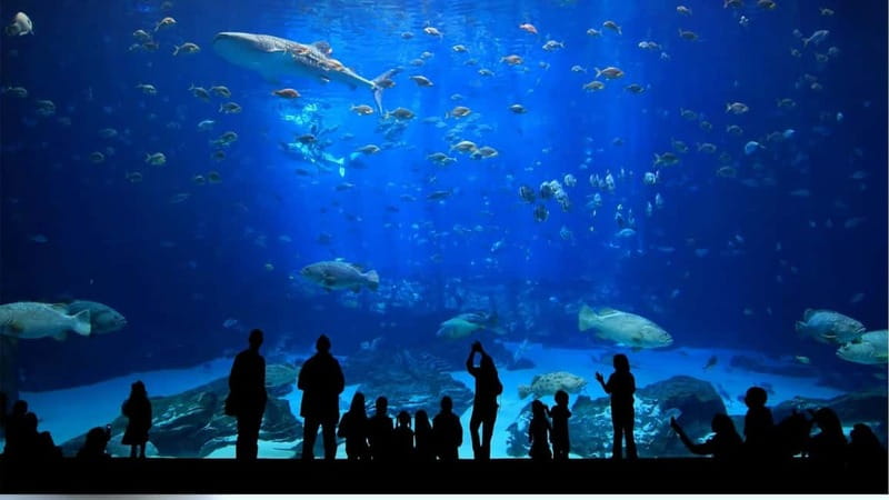 Antalya: Aquarium, Wax Museum, Snow World, Wild Park - Timing, pace, and what to expect from the whole day