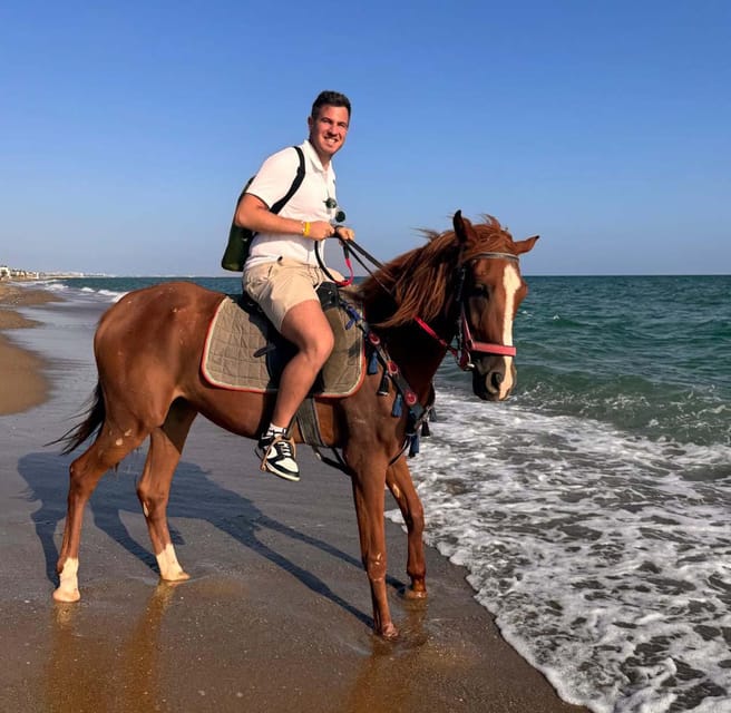 Antalya : Belek , Kundu , Horse Riding - Horses and tack: healthy look, Turkish standard equipment