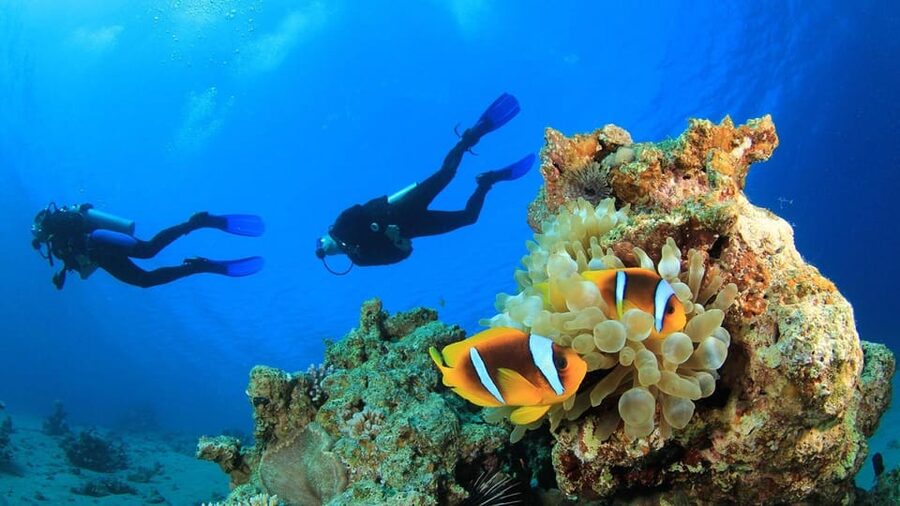 Antalya/ Belek Scuba Diving Tour With 2 Time Dive & Lunch - Weather, Winter Schedule, and What to Bring