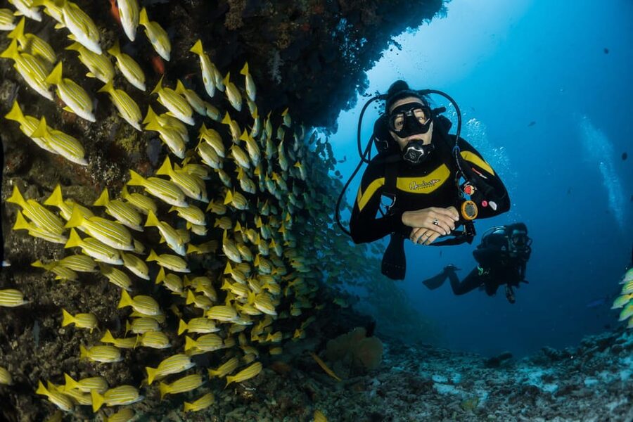 Antalya/ Belek Scuba Diving Tour With 2 Time Dive & Lunch - Two Underwater Sessions From Antalya and Belek, in One Day