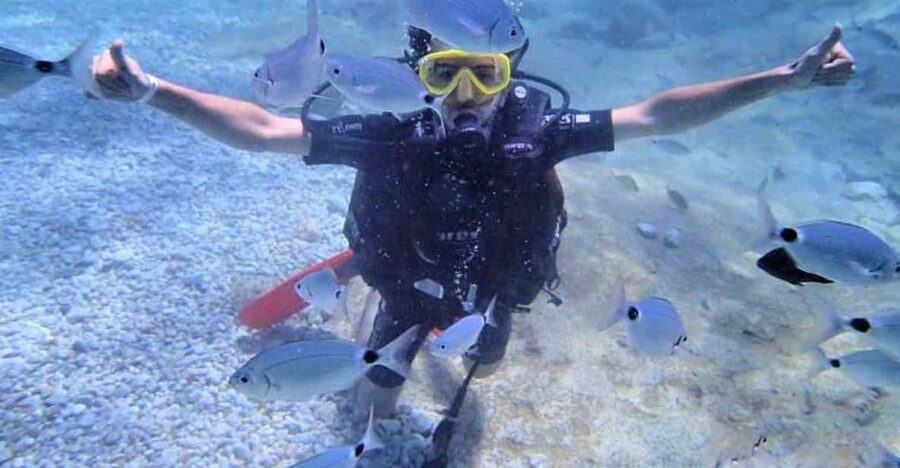 Antalya/ Belek Scuba Diving Tour With 2 Time Dive & Lunch - Intro Underwater Session at 3 to 5 Meters Before Lunch