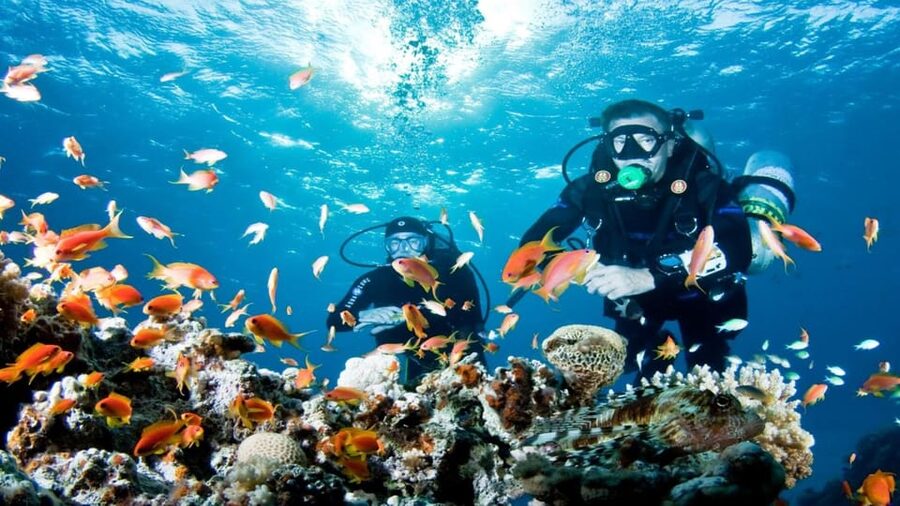 Antalya/ Belek Scuba Diving Tour With 2 Time Dive & Lunch - Boat Comfort, Gear Setup, and Lunch on the Water