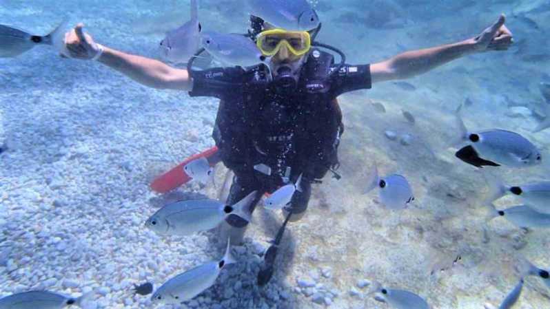 Antalya/ Belek Scuba Diving Tour With 2 Time Dive & Lunch - Getting Picked Up and Meeting the Alanya Best Trips Crew