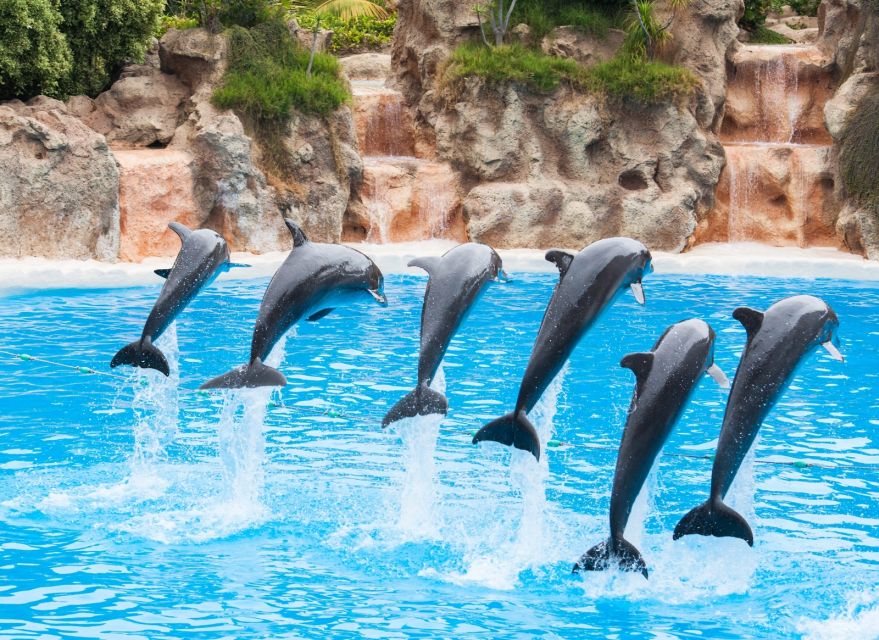 Antalya/Belek: The Land of Legends Theme Park with Transfer - Price and value: is it worth about $28 with transfer?