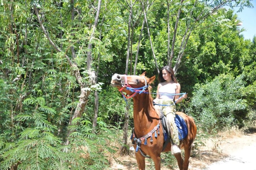 Antalya: Guided ATV and Horse Riding Safari in Lara - Forest ride on ATVs: what you can expect, plus a reality check