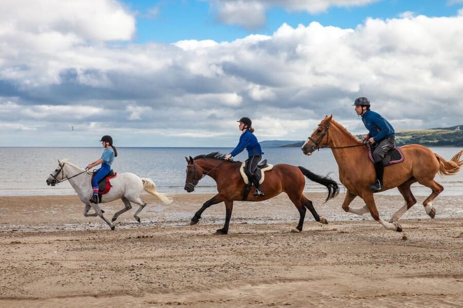 Antalya: Guided ATV and Horse Riding Safari in Lara - Horse running after the quads: comfort, pacing, and mindset