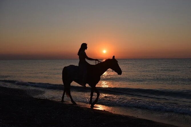 Antalya Horse Riding On Beach And Through The Forests For 2 Hours - Lara Beach Horse Riding and Pine Forests: What You’re Actually Booking