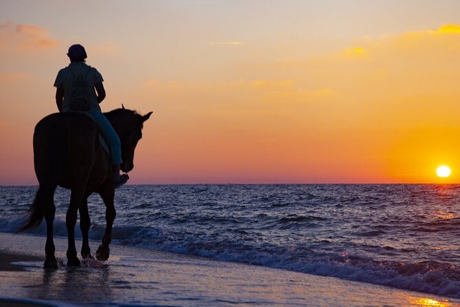 Antalya Horse Riding On Beach And Through The Forests For 2 Hours - Meeting Point and Timing: Where the Day Starts, and How Smooth It Feels
