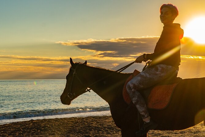 Antalya Horse Riding On Beach And Through The Forests For 2 Hours - Safety Gear, Horse Handling, and Your Best “Do This First” Checks