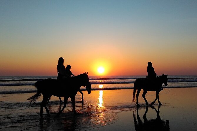 Antalya Horse Riding On Beach And Through The Forests For 2 Hours - Photo Rules and the Photo Sales Reality