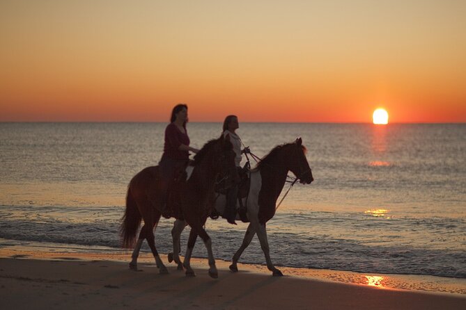 Antalya Horse Riding On Beach And Through The Forests For 2 Hours - Price Value: Is $60 Worth It for What You Actually Get?