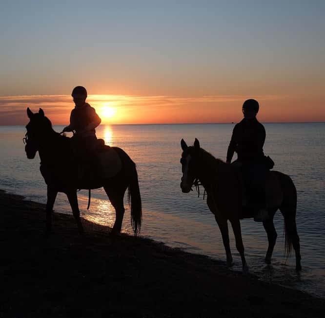 Antalya: Horseback Riding on the Beach and in the Forest - Getting there and back, and why the small group feels worth it