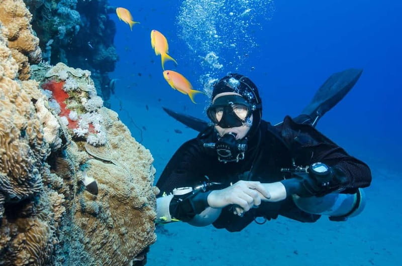 Antalya/Kemer: 2 Dives Scuba Diving Trip with Lunch - Safety and coaching: what the instructors focus on