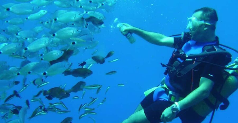 Antalya/ Kemer/ Belek Scuba Diving With Lunch & Transfer - Two underwater sessions in Kemer, Antalya Province