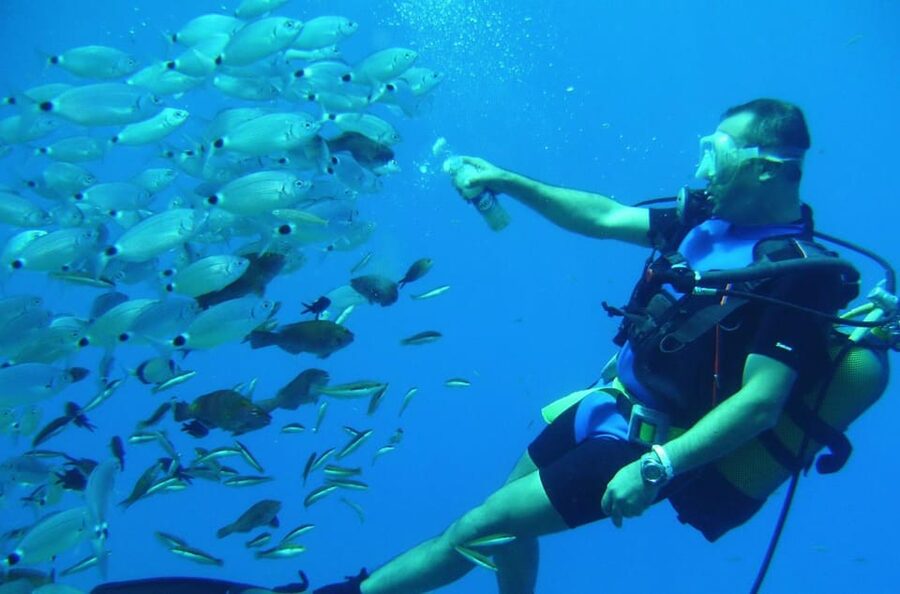 Antalya/ Kemer/ Belek Scuba Diving With Lunch & Transfer - Marine life you can actually spot, plus a turtle maybe
