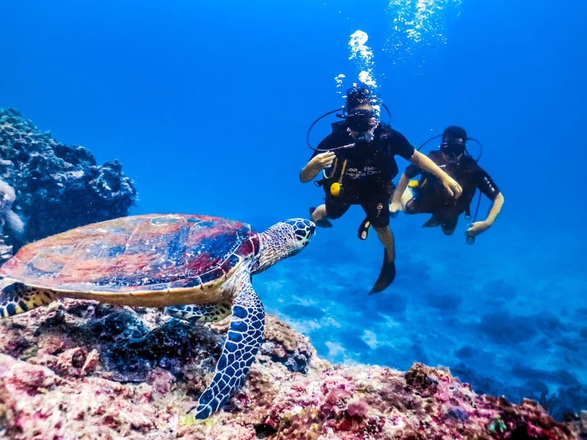 Antalya/ Kemer/ Belek Scuba Diving With Lunch & Transfer - Lunch on board, coffee, and the rhythm of the day
