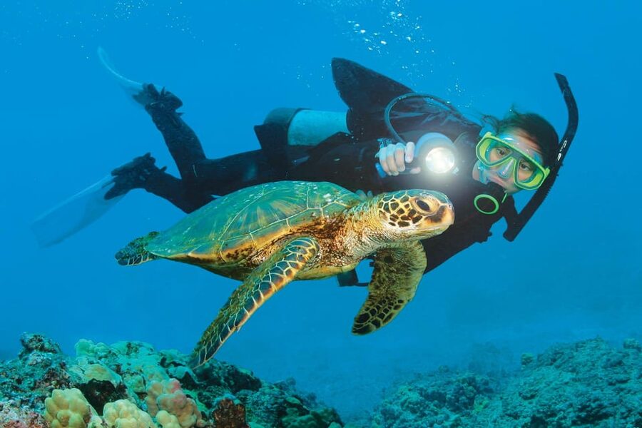 Antalya/ Kemer/ Belek Scuba Diving With Lunch & Transfer - Price and logistics: transfers included for $47