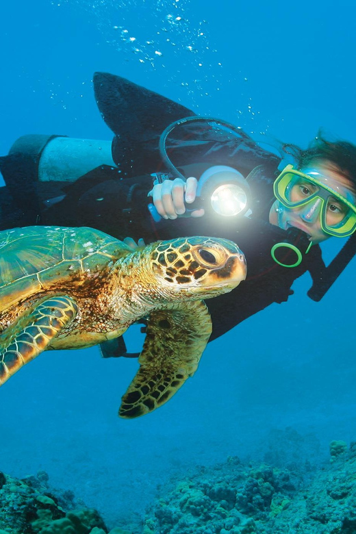 Antalya/ Kemer/ Belek Scuba Diving With Lunch & Transfer - Who should book this Kemer underwater day, and who should skip it