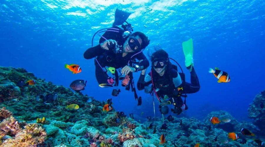 Antalya/ Kemer/ Belek Scuba Diving With Lunch & Transfer - Should you book this tour?