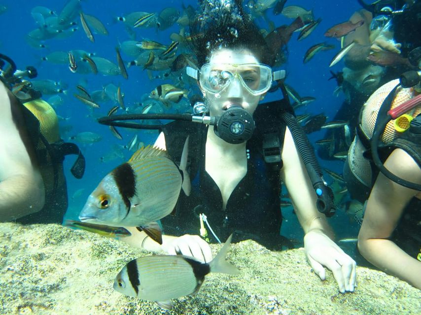 Antalya/Kemer: Scuba Diving Experience with Lunch & Pick up - Aquarium Bay: Shallow First Session Around 5 Meters