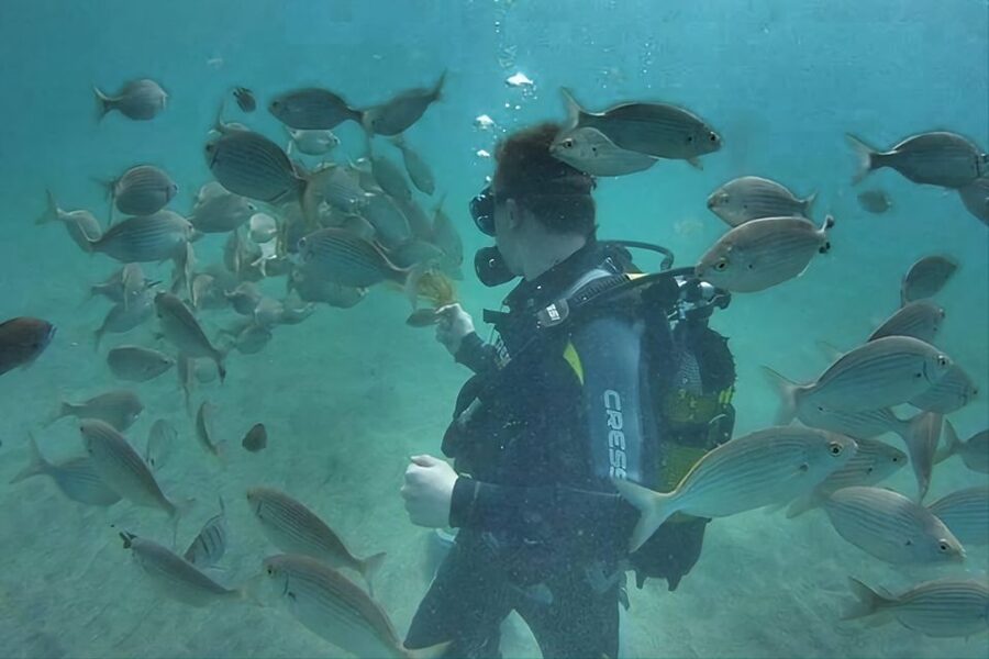 Antalya/Kemer: Scuba Diving Experience with Lunch & Pick up - Kiris Bay: Second Session at 10 to 15 Meters