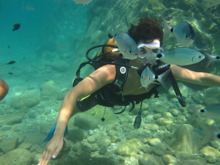 Antalya/Kemer: Scuba Diving Experience with Lunch & Pick up - The Training That Gets You Ready Fast (Even If You Are New)
