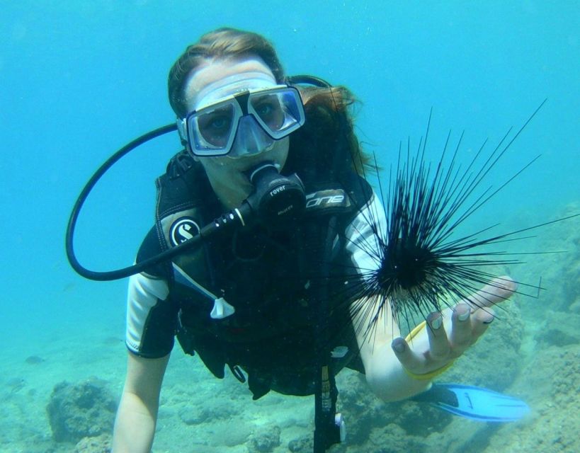 Antalya/Kemer: Scuba Diving with Pickup, Lunch, and 2 Dives - Lunch onboard: simple food, useful break, and snack reality