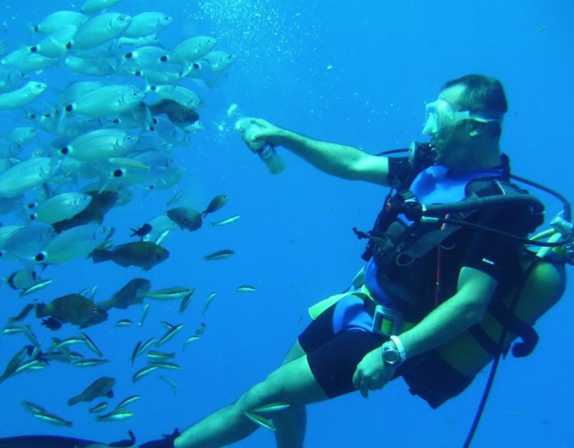 Antalya/Kemer: Scuba Diving with Pickup, Lunch, and 2 Dives - Price and value: how $24 can be a bargain or a surprise