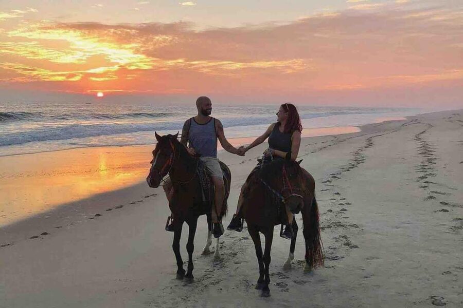 Antalya: Lara Beach & Forrest Horse Riding Safari - A Forest-and-Beach Ride That Feels Like Two Tours for One
