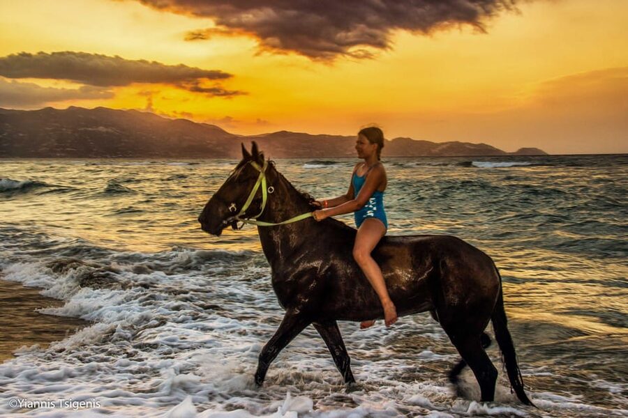 Antalya: Lara Beach & Forrest Horse Riding Safari - The 1-Hour Forest Ride: Shade, Air, and a Proper Warm-Up