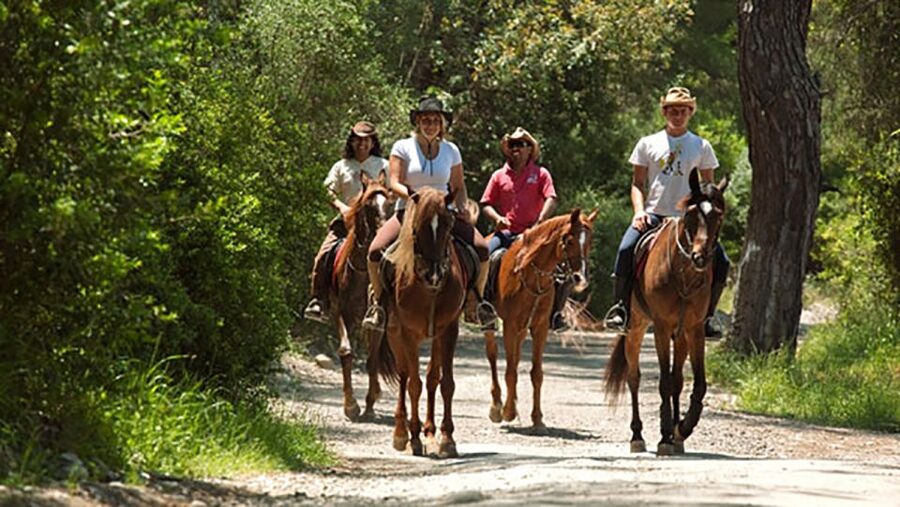 Antalya: Lara Beach & Forrest Horse Riding Safari - What’s Included, What’s Not, and a Few Comfort Tips