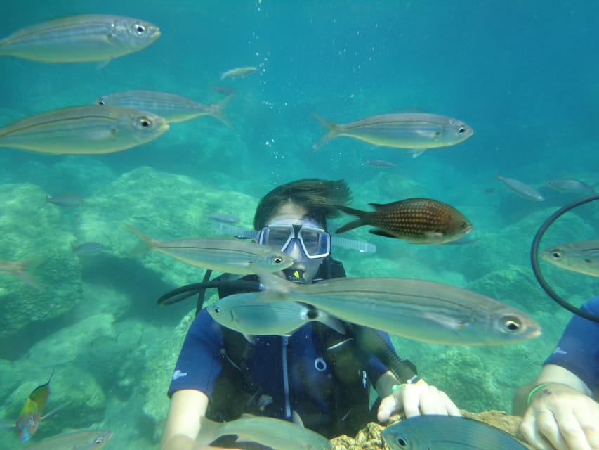 Antalya Scuba Diving Tour, With Lunch & Return Transfers - Should You Book This Antalya Scuba Tour?