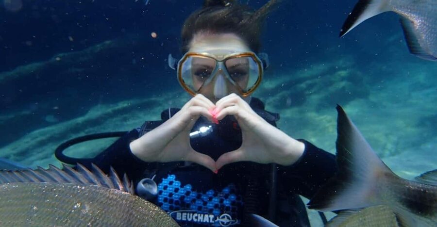 Antalya Scuba Diving Tour, With Lunch & Return Transfers - Pickup Timing and Getting to Setur Marina Without Stress