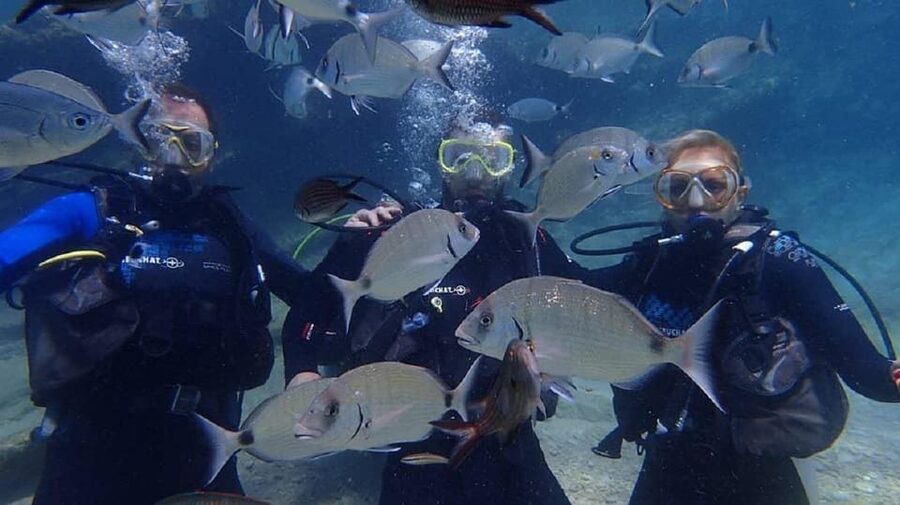 Antalya Scuba Diving Tour, With Lunch & Return Transfers - Second Stop at Martı Island and the Certificate Moment