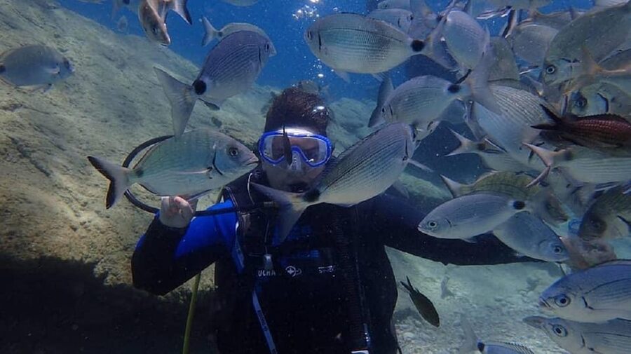 Antalya Scuba Diving Tour, With Lunch & Return Transfers - What’s Included, and What You’ll Want to Budget For